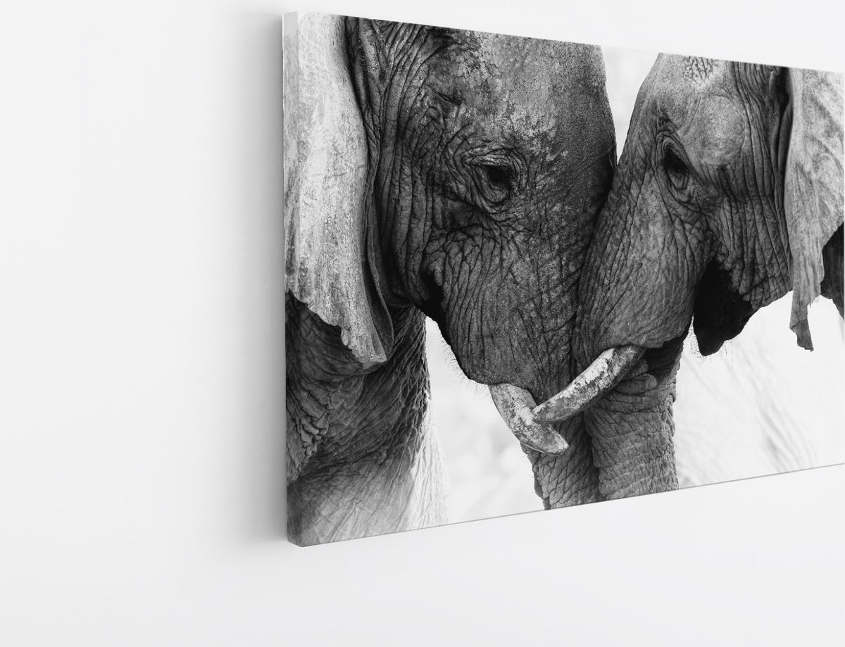 Saammp Canvas Schilderij - 2 Olifanten - Liefdevol - Natuur - Dieren - 90x60 - Foto op canvas - Wanddecoratie - Muurdecoratie Woonkamer - Slaapkamer decoratie - Canvas Print Multicolor