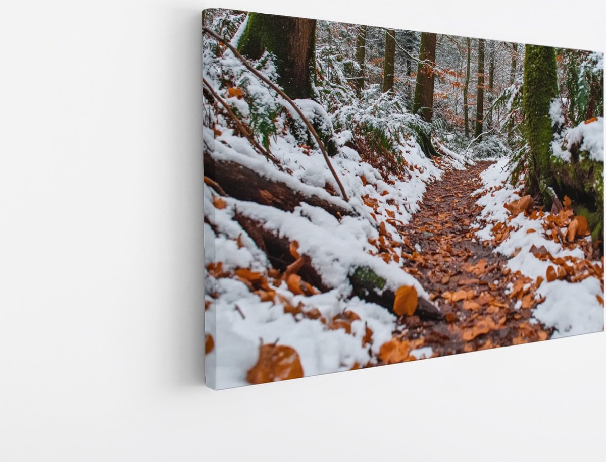 Saammp Canvas Schilderij - Natuur - Winter - Bospad - landschappen - 100x75 - Foto op canvas - Wanddecoratie - Muurdecoratie Woonkamer - Slaapkamer decoratie - Canvas Print Multicolor