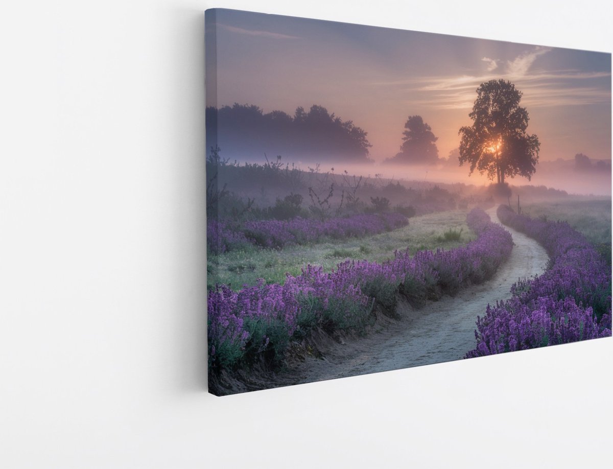 Saammp Canvas Schilderij - Lavendelveld met mist - Natuur - Landschap - 30x20 - Foto op canvas - Wanddecoratie - Muurdecoratie Woonkamer - Slaapkamer decoratie - Canvas Print Multicolor