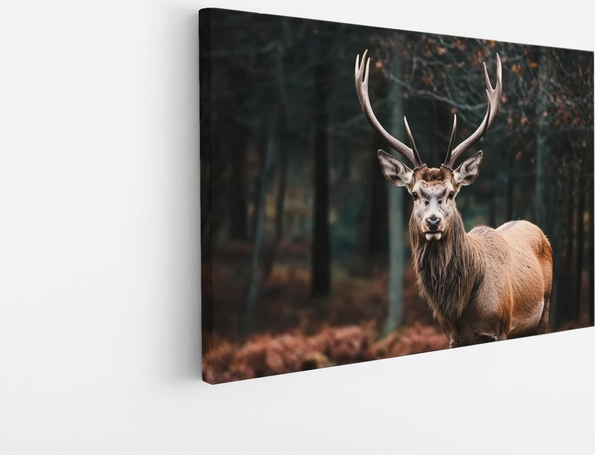 Saammp Canvas Schilderij - Natuur - Hert - Landschap - 30x20 - Foto op canvas - Wanddecoratie - Muurdecoratie Woonkamer - Slaapkamer decoratie - Canvas Print Multicolor