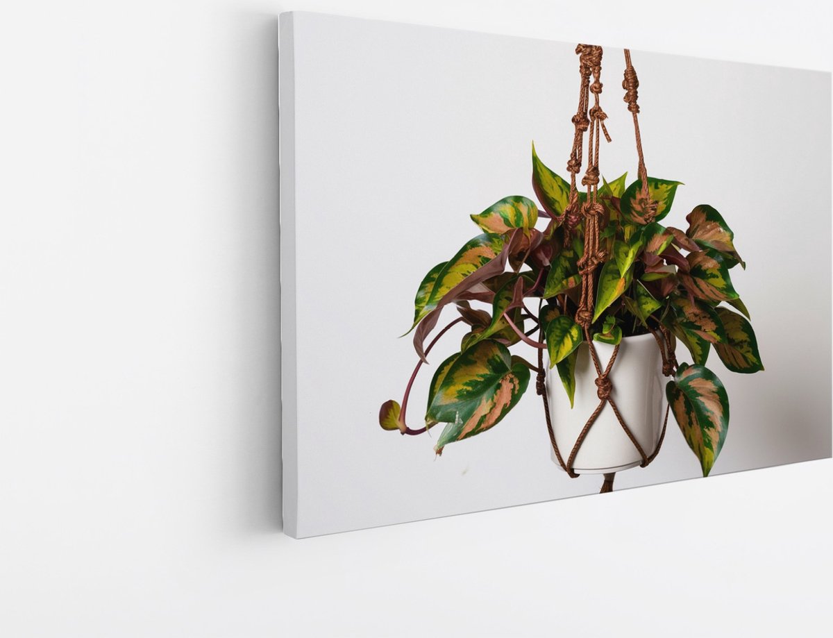 Saammp Canvas Schilderij - Hangplant met Kleurrijke Bladeren - Natuur - Abstract - 150x100 - Foto op canvas - Wanddecoratie - Muurdecoratie Woonkamer - Kantoor Decoratie Multicolor