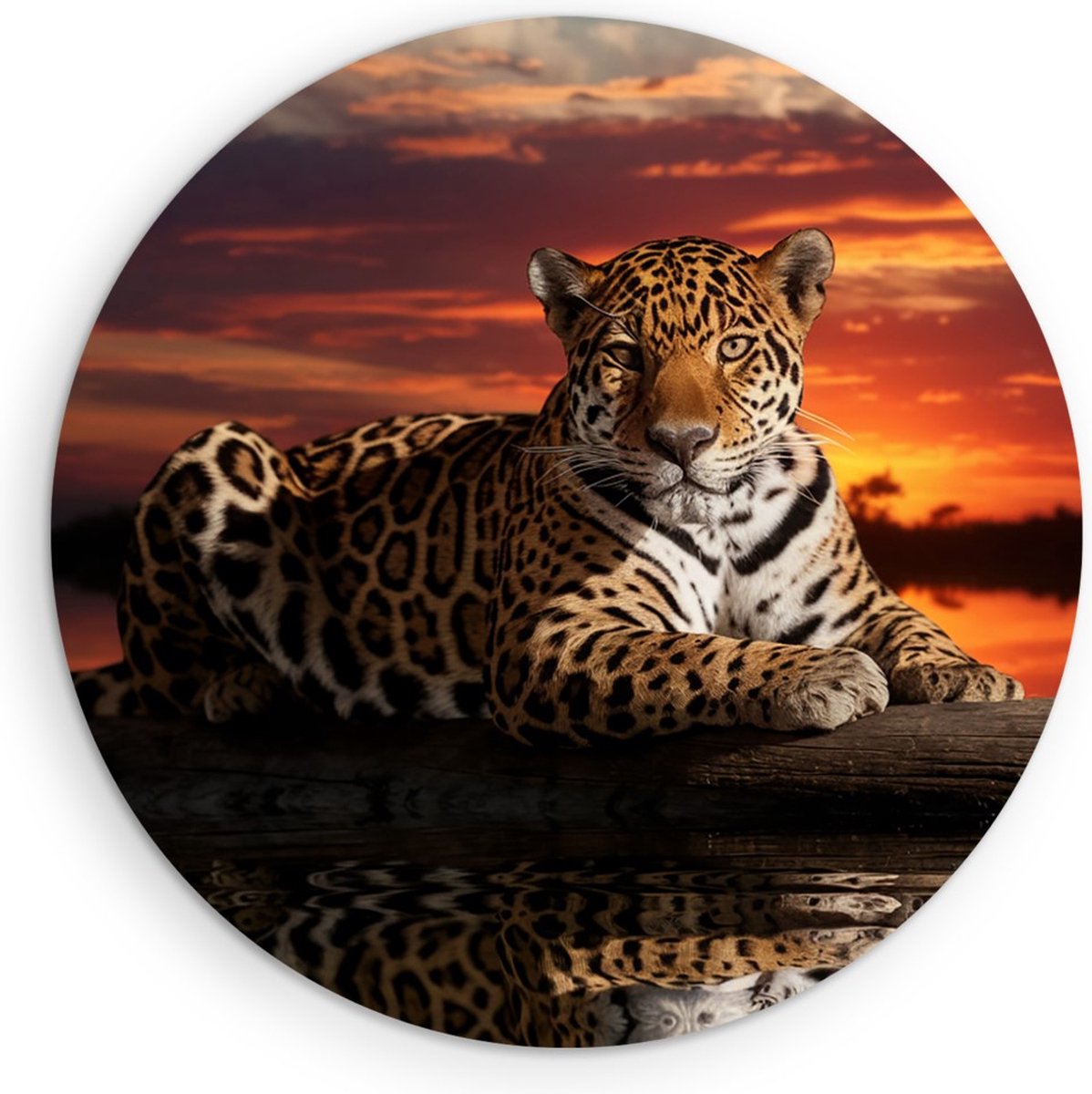 Saammp Muurcirkel Hout - Jaguar in zonsondergang - Natuur - Dieren - Ø 40 - Wandcirkel - Wanddecoratie Cirkel - Muurdecoratie Woonkamer - Slaapkamer decoratie - Rond Schilderij