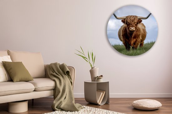 Saammp Cercle Mural Bois - Vache Highlander Écossaise dans le pré - Nature - Animaux - Ø 40 - Cercle Mural - Décoration murale - Décoration murale Murale Salon - Décoration Chambre - Tableau Rond