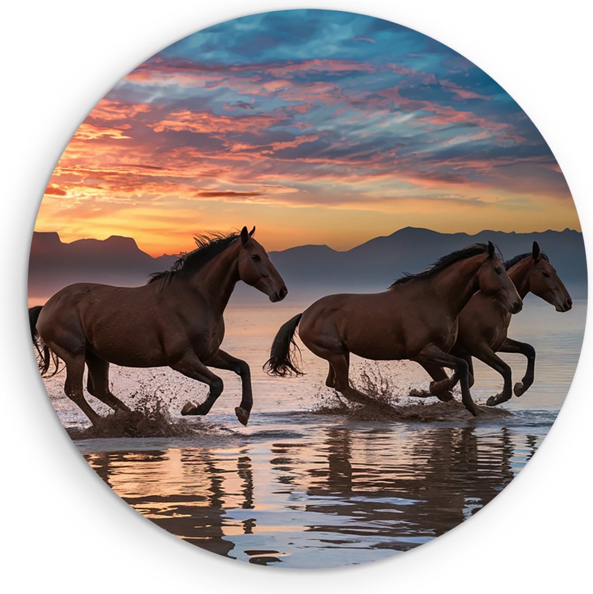 Saammp Muurcirkel Hout -Groep paarden In het water tijdens zonsondergang- Dieren - Natuur - Ø 40 - Wandcirkel - Wanddecoratie Cirkel - muurdecoratie Woonkamer - Slaapkamer decoratie - Rond Schilderij