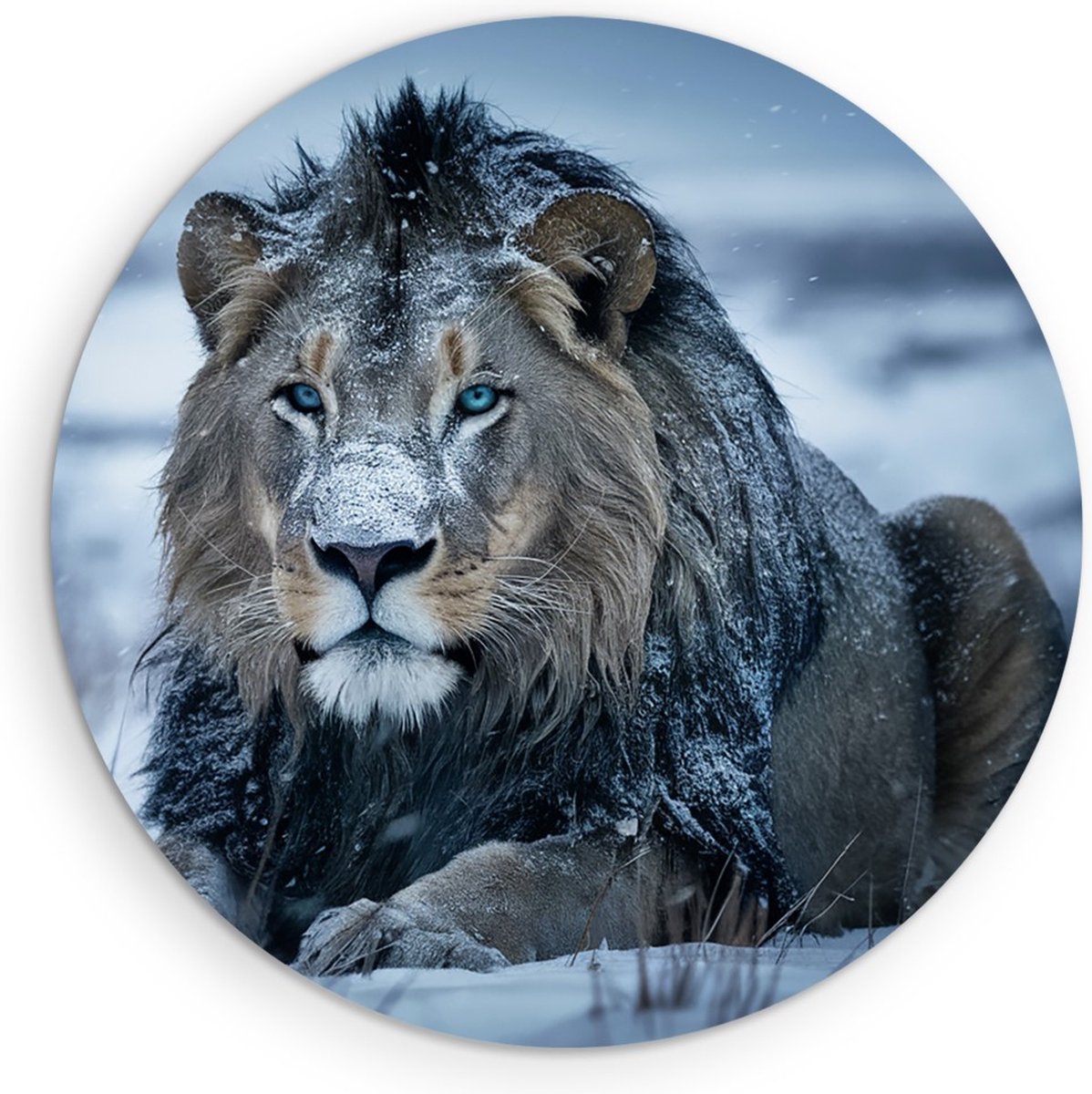 Saammp Muurcirkel Hout - Leew in de sneeuw - Natuur - Dieren - Ø 70 - Wandcirkel - Wanddecoratie Cirkel - Muurdecoratie Woonkamer - Slaapkamer decoratie - Rond Schilderij