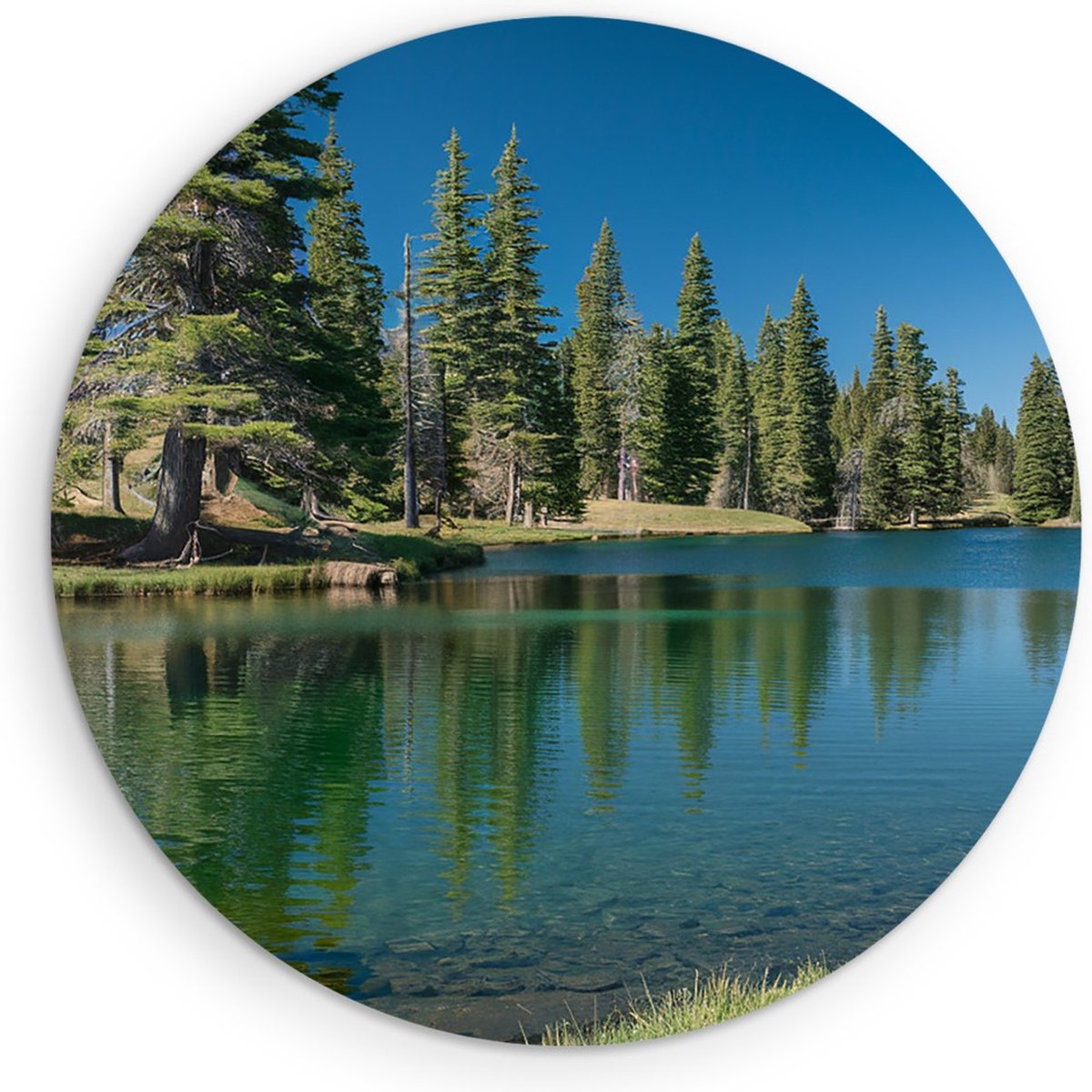Saammp Muurcirkel Hout - Meer tussen de bomen - Landschap - Natuur - Ø 60 - Wandcirkel - Wanddecoratie Cirkel - Muurdecoratie Woonkamer - Slaapkamer decoratie - Rond Schilderij