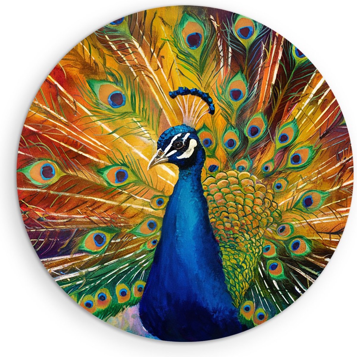 Saammp Forex Muurcirkel - Pauw Kleurrijke hanen - Dieren - Natuur - Ø 60 - Wandcirkel - Wanddecoratie Cirkel - muurdecoratie Woonkamer - Slaapkamer decoratie - Rond Schilderij