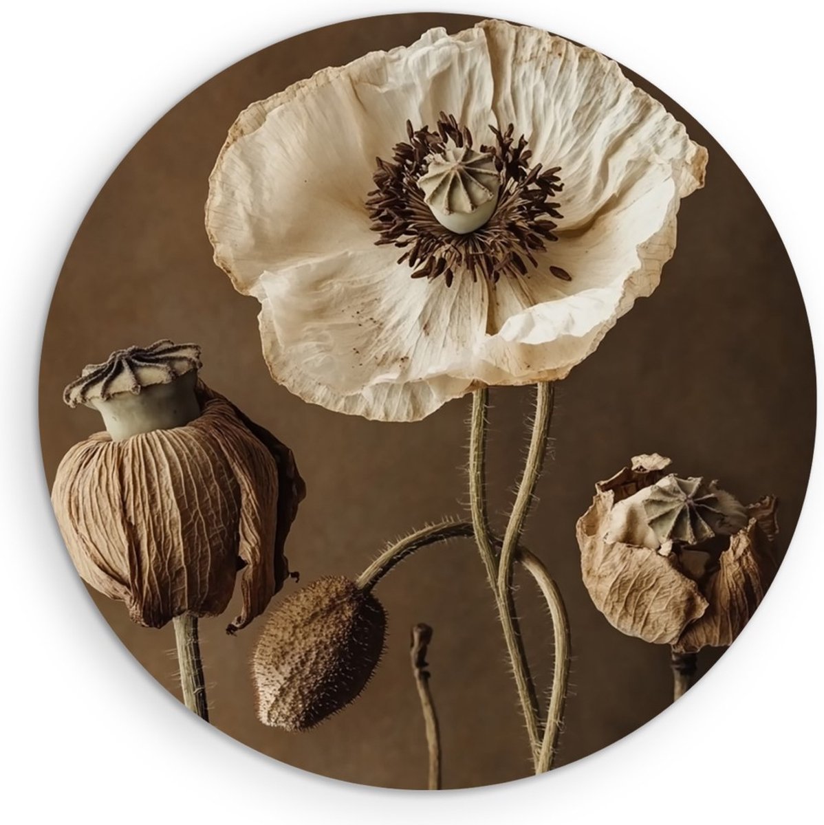 Saammp Muurcirkel Hout - Sereniteit in de Natuur - Minimalistisch - Ø 50 - Wandcirkel - Wanddecoratie Cirkel - Muurdecoratie Woonkamer - Kantoor Decoratie