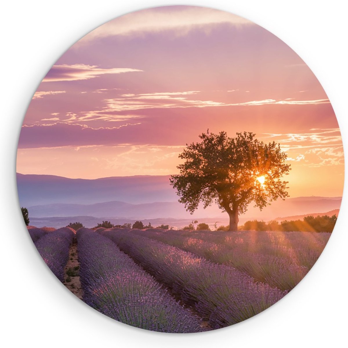 Saammp Muurcirkel Hout - Lavendelveld met de zon tussen de boom - Natuur - Landschap - Ø 40 - Wandcirkel - Wanddecoratie Cirkel - Muurdecoratie Woonkamer - Slaapkamer decoratie - Rond Schilderij