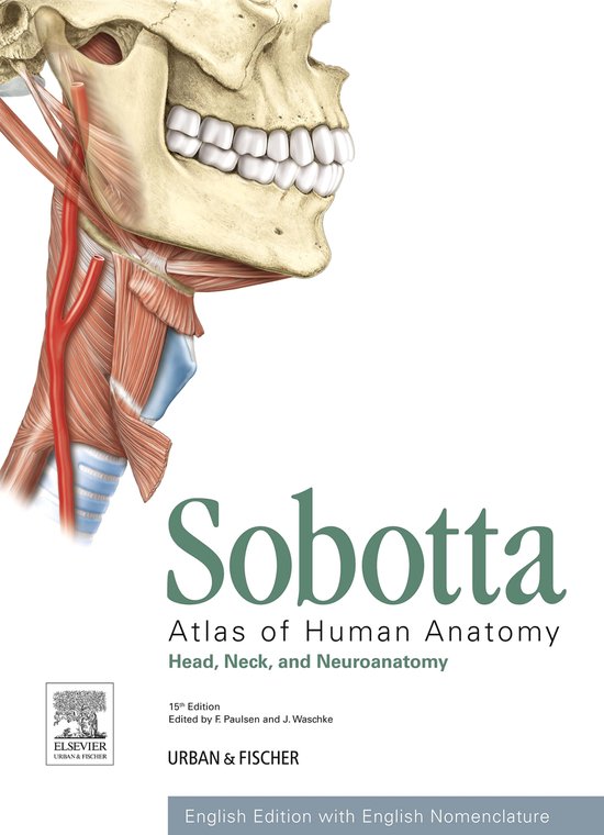 Sobotta Atlas of Human Anatomy, Vol. 3, 15th ed., English - cover