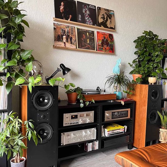 Zwarte planken met diverse LP-hoezen, waaronder Carrie Lucas en Bettye Wright, omringd door planten.
