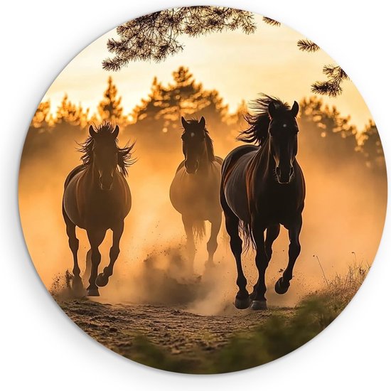 Saammp Muurcirkel Hout - Rennende Paarden in het zand - Natuur - Dieren - Ø 80 - Wandcirkel - Wanddecoratie Cirkel - Muurdecoratie Woonkamer - Slaapkamer decoratie - Rond Schilderij