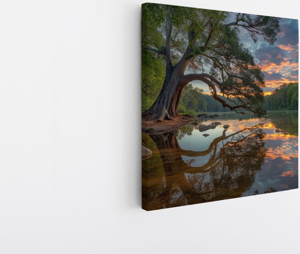 Saammp Canvas Schilderij - Scheve Boom met zonsondergang - Bloemen - Landschap - Natuur - 60x60 - Foto op canvas - Wanddecoratie - Muurdecoratie Woonkamer - Slaapkamer decoratie - Canvas Print Multicolor