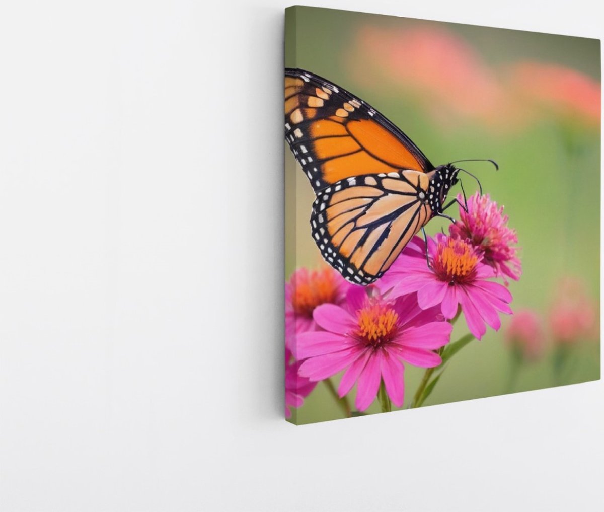 Saammp Canvas Schilderij - Kleurrijke vlinder - Natuur - Dieren - 40x40 - Foto op canvas - Wanddecoratie - Muurdecoratie Woonkamer - Slaapkamer decoratie - Canvas Print Multicolor