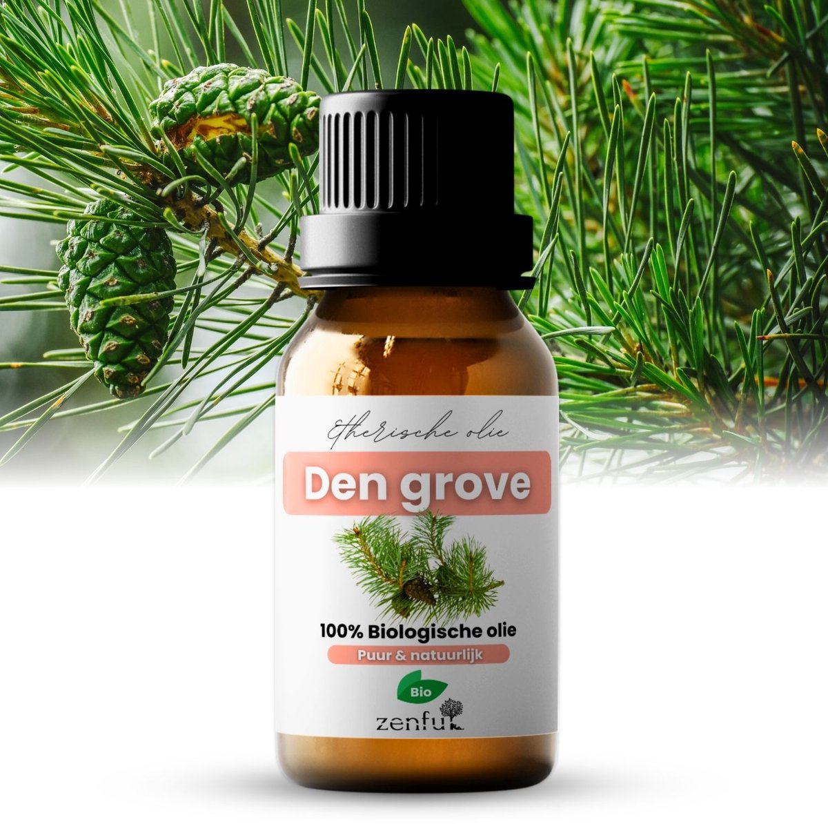 Grove den olie - Dennenolie - 100% Puur - Biologisch - Etherische olie - Natuurlijk & Vegan - Dennengeur - Aromatherapie - Diffuser - 10 ml