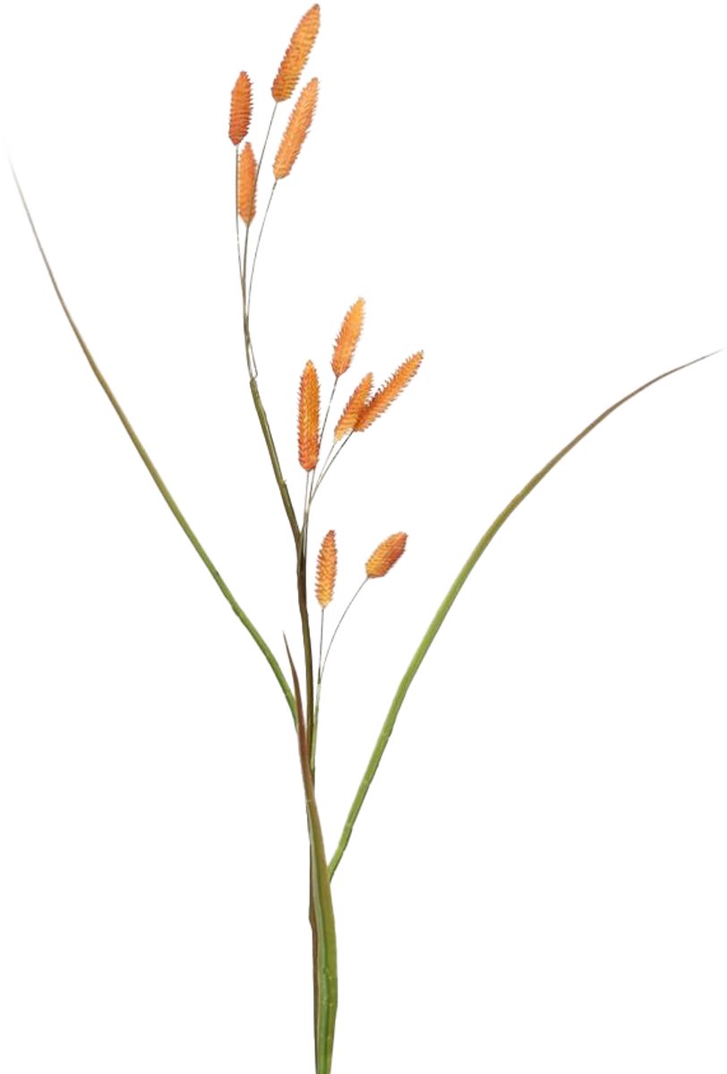 Viv! Home Luxuries Bunny Tails - gras - zijden bloem - oranje - hazenstaartje - 114cm