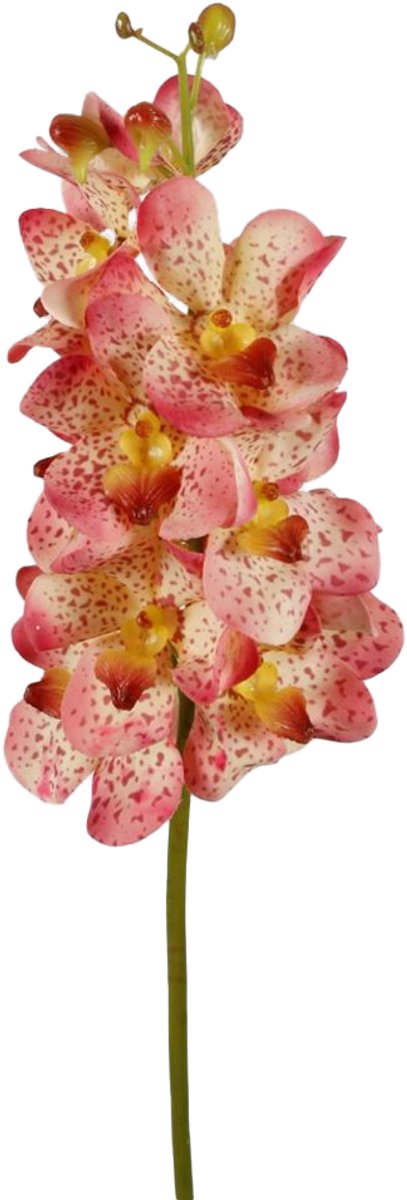 Viv! Home Luxuries Orchidee Vanda - zijden bloem - natural touch - roze - 69cm