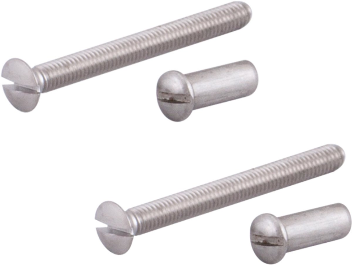 Patentbout RVS M4x38mm 2 stuks