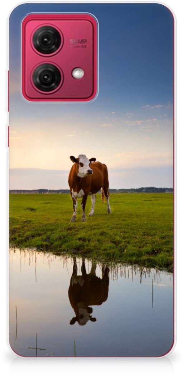 Motorola Moto G84 TPU Hoesje Koe