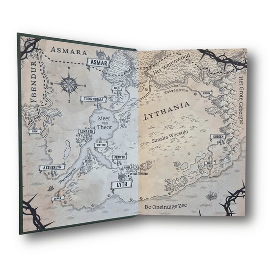 Maya's erfgenaam 1 - Het hart van het woud