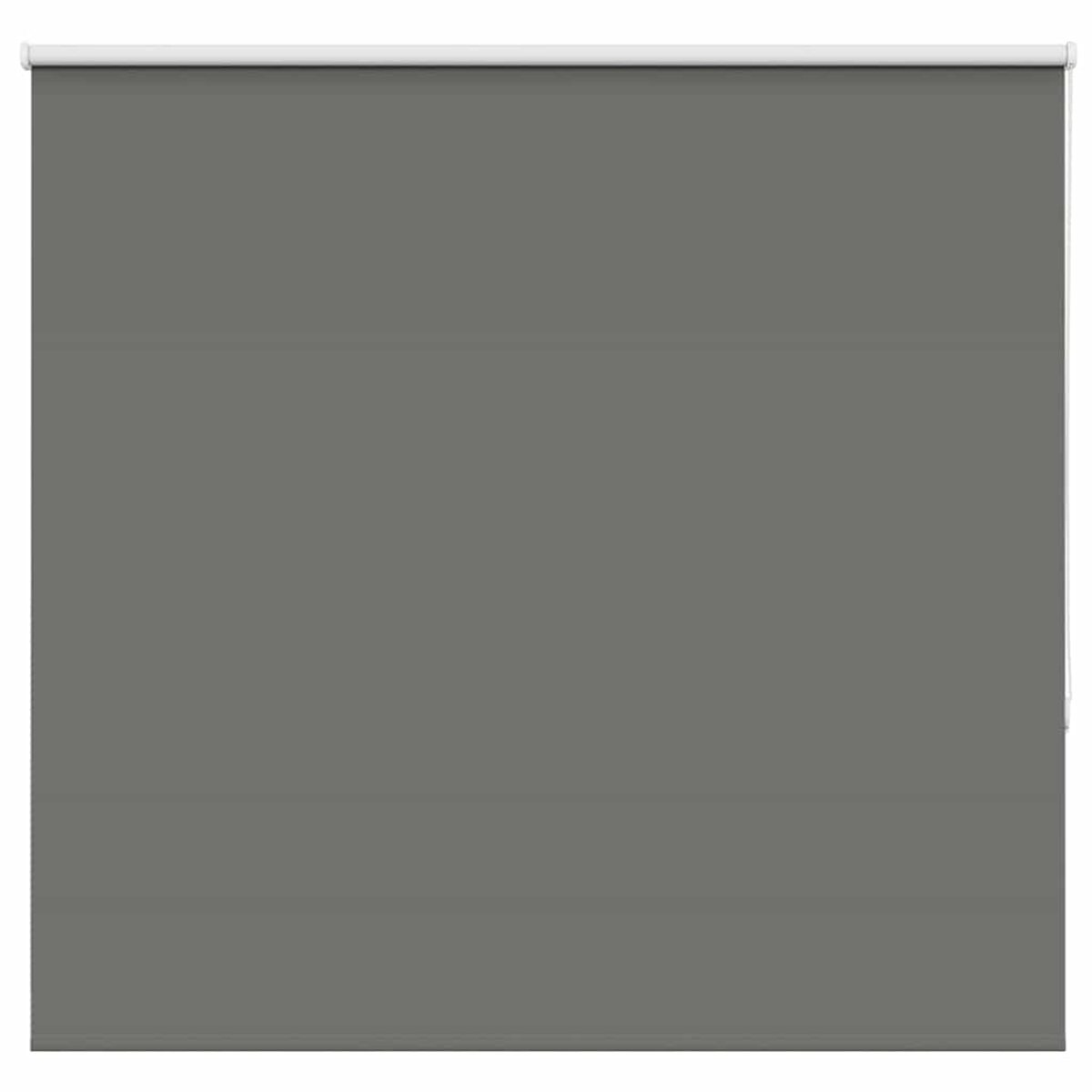 vidaXL - Rolgordijn - verduisterend - 150x150 - cm - stofbreedte - 146,6 - cm - grijs