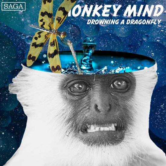 Drowning a Dragonfly - cover