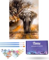 Pcasso ® Olifant Wild – Incl. 3 Penselen & Geschenkverpakking - Schilderen Op Nummer - Schilderen Op Nummer Volwassenen & Kinderen – Schilderen Op Nummer Dieren – Kleuren Op Nummer – 40x50 cm