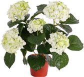Kunstplant hortensia plant wit/groen 36 cm - Kunstplanten/nepplanten