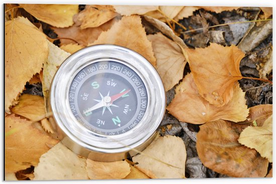 WallClassics - Dibond - Traditioneel Kompas op Stapel Herfstbladeren - 60x40 cm Foto op Aluminium (Wanddecoratie van metaal)