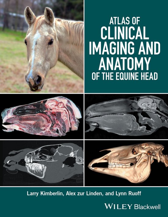 Atlas of Clinical Imaging and Anatomy of the Equine Head - cover