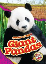Animals at Risk - Giant Pandas