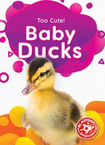 Too Cute! - Baby Ducks