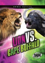 Animal Battles - Lion vs. Cape Buffalo
