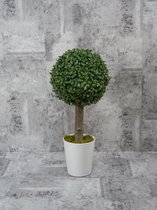 Buxus - kunstplant - hoogte 50 cm met witte pot - buxusbol Ø 23 cm