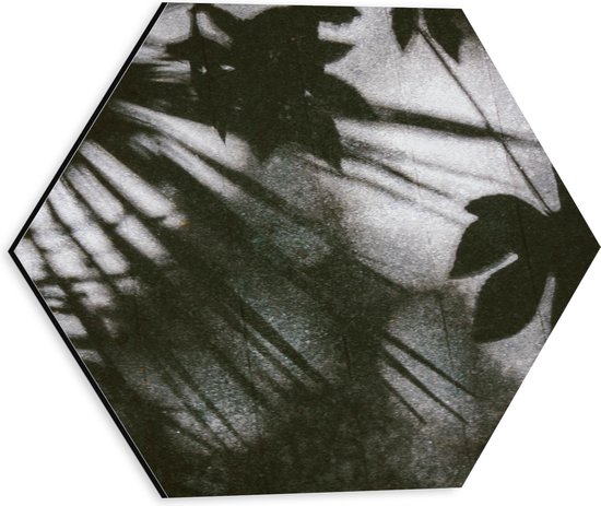 Dibond Hexagon - Schaduw van Grote Bladeren op Stenen - 30x26.1 cm Foto op Hexagon (Met Ophangsysteem)