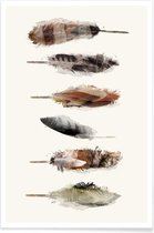 JUNIQE - Poster Free Fall Feathers -20x30 /Bruin & Wit