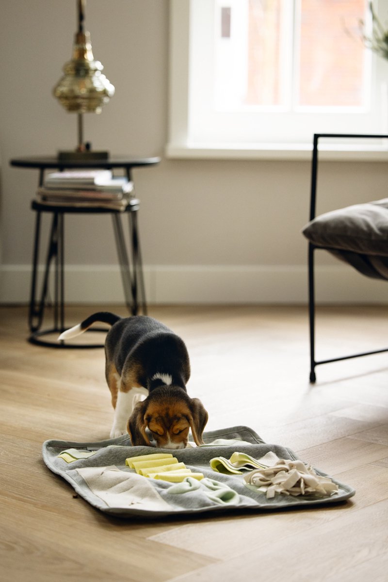Beeztees Puppy Doeka Snuffelmat - Puppy Speelgoed - Puppy Snuffelmat - Hondenspeelgoed - Grijs - 50x45 cm thumbnail 4