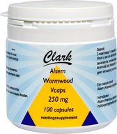 Holisan Alsem Wormwood Vegetarische Capsules -  100 capsules