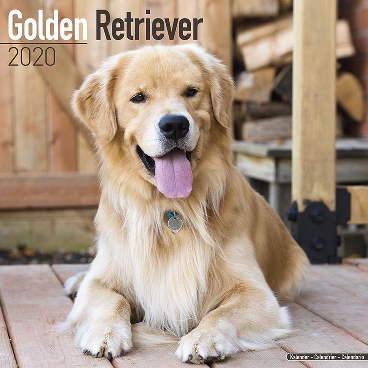 Golden Retriever Kalender 2020