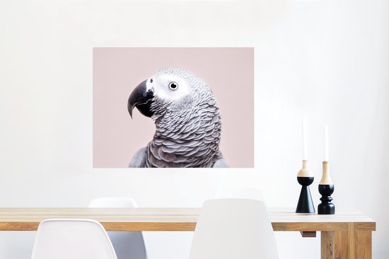 Poster Perroquet - Grijs - Animaux - Nature - 80x60 cm