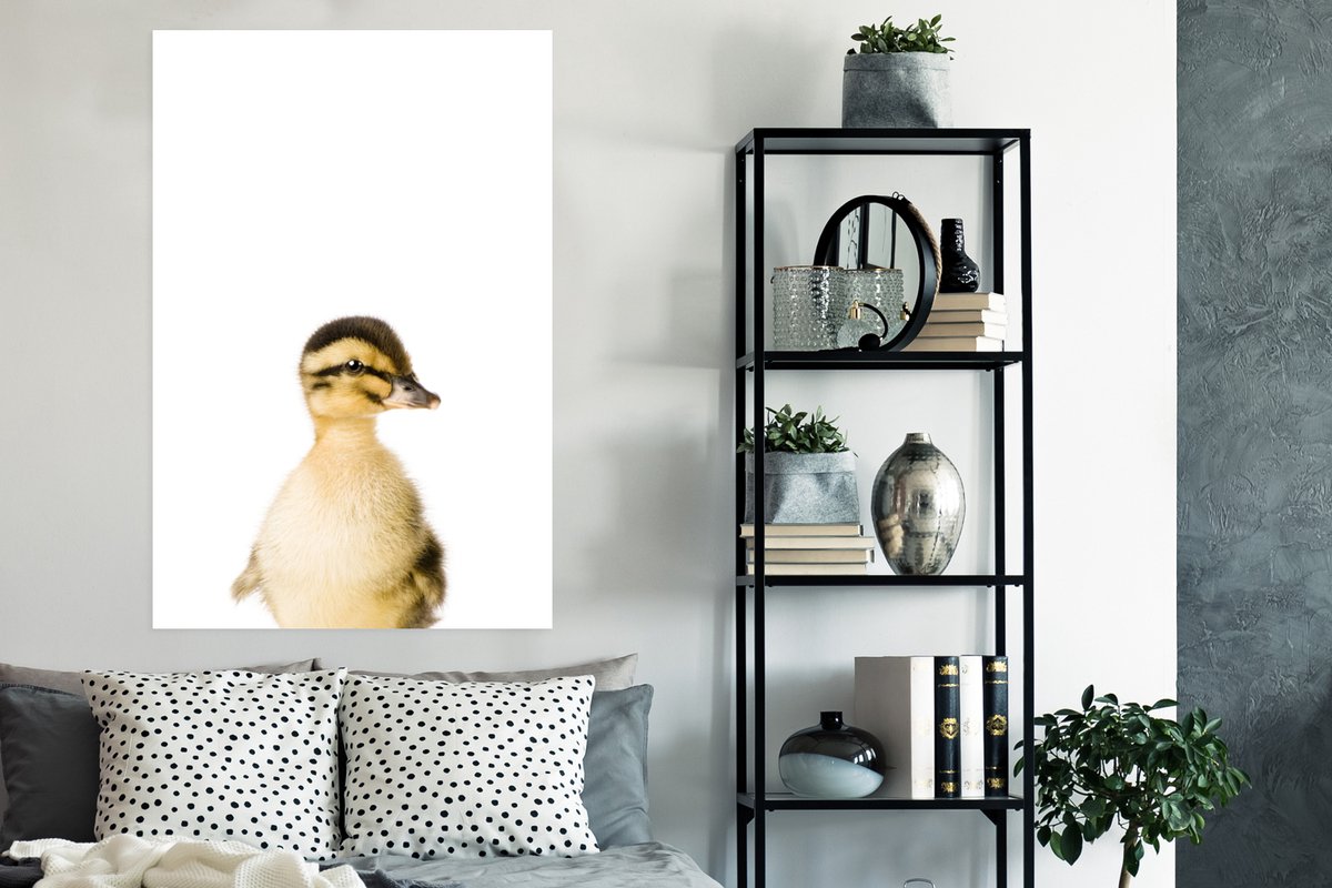 Poster Eend - Geel - Dieren - Natuur - 80x120 cm
