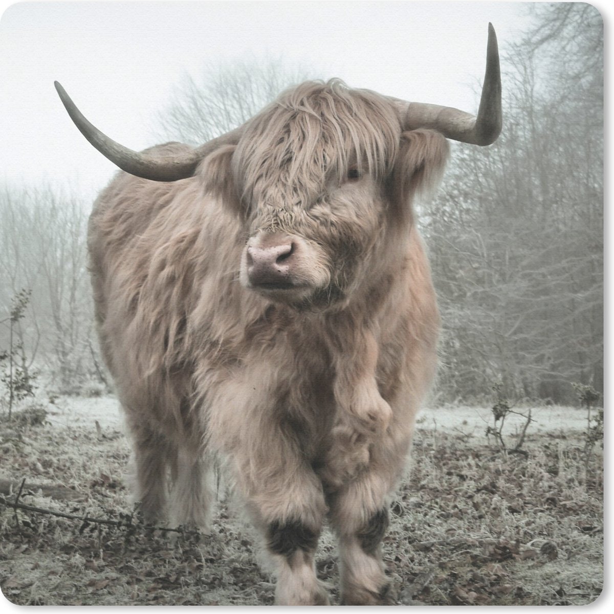 Muismat 30x30 cm - Mousepad Schotse hooglander - Natuur - Herfst - Dieren - Wild - Bos - Muismatten