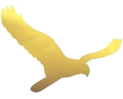 Kiekendief sticker Flevoland - 10cm x 14cm - goud - topkwaliteit avery autoreclame folie