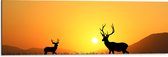 Dibond - Silhouet van Herten rennend door het Weiland bij Zonsondergang - 90x30 cm Foto op Aluminium (Met Ophangsysteem)
