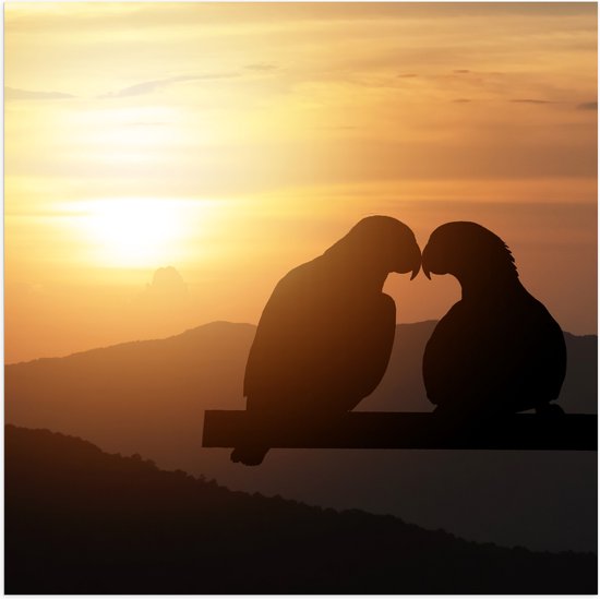 Poster Glanzend – Silhouet van Verliefd Duivenkoppel tijdens Zonsondergang - 80x80 cm Foto op Posterpapier met Glanzende Afwerking