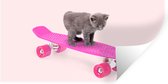 Muurstickers - Sticker Folie - Poes - Kitten - Dieren - Skateboard - Roze - 160x80 cm - Plakfolie - Muurstickers Kinderkamer - Zelfklevend Behang - Zelfklevend behangpapier - Stickerfolie