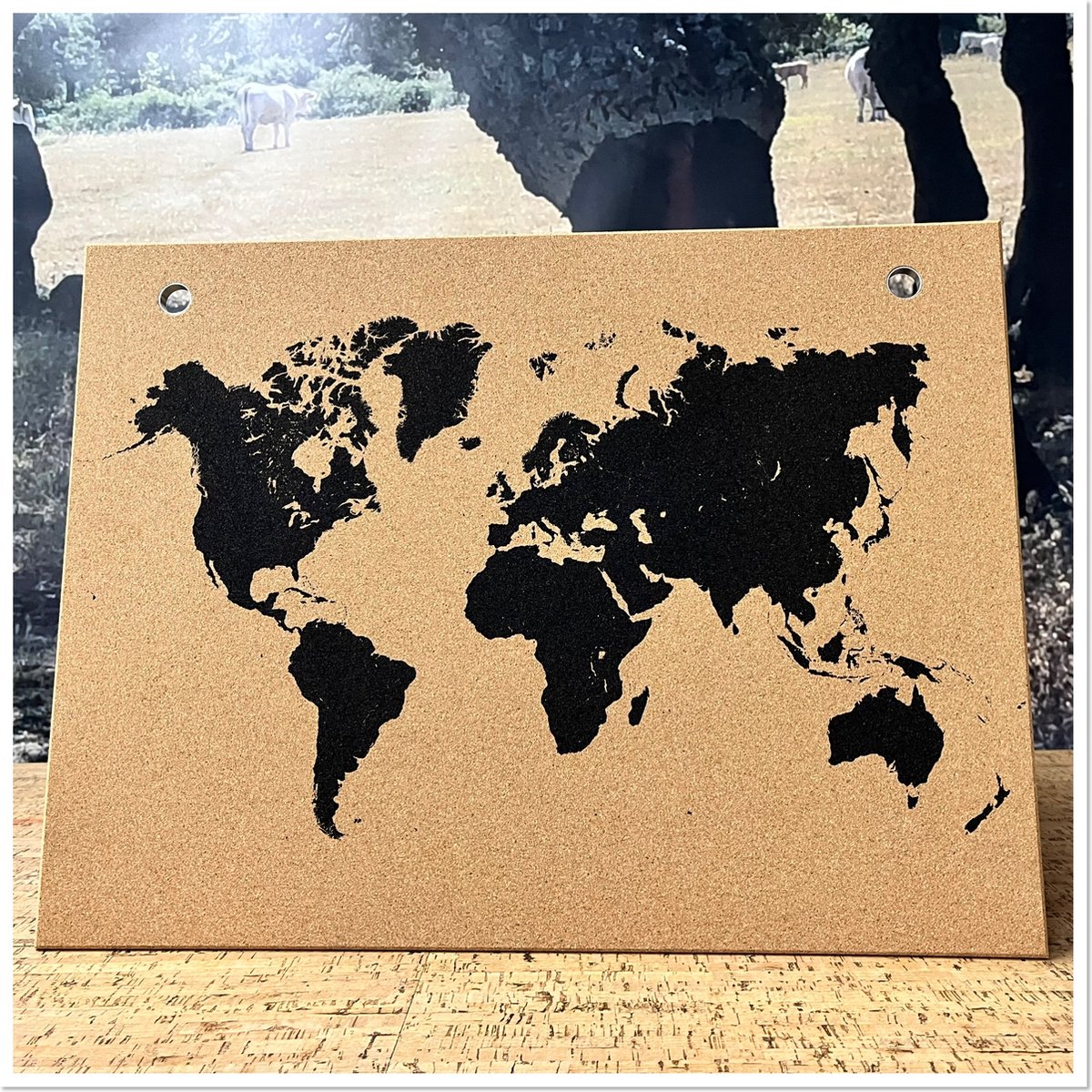 Carte du Monde en Liège 102 x 50 cm avec 10 punaises