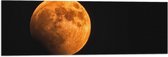 Vlag - Oranje Gloed over Maan - 90x30 cm Foto op Polyester Vlag