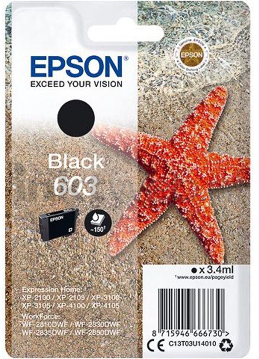 Epson Singlepack Black 603 Ink