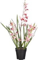 Mica Decorations Orchidee bloem kunstplant - perzik roze - H66 x B34 cm